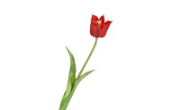 SILK TULIP SINGLE RED 48CM