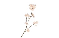 SILK CHERRY BLOSSOM CHAMPAGNE 85CM