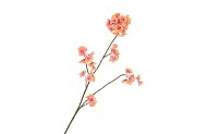 SILK CHERRY BLOSSOM PEACH 85CM