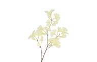 SILK GINKGO WHITE 85CM