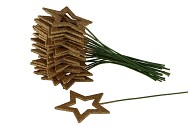 PICK STAR 10X10CM GLITTER ON A STICK GOLD L24CM SET OF 24