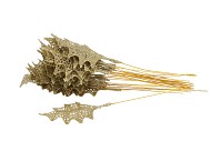 PICK HOLLY LEAVES 14X6CM GOLD L24CM SET OF 25