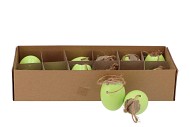 EGGS CHICKEN HANGER LIGHT GREEN 5X5CM SET OF 12