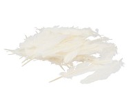 VEREN MARABOU CRÈME 95 GRAM