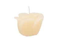 CANDLE ROOS IVORY 8X7CM