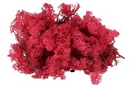 MOSS ICELAND RED A 500 GRAM