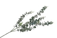 SILK EUCALYPTHUS AST L88CM