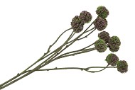 SILK SCABIOSA TAK LILA 68CM NM