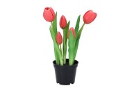 SILK TULIP IN POT 5X FUCHSIA 26CM NM