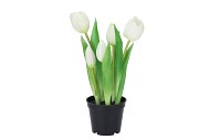 SILK TULIP IN POT 5X WHITE 26CM NM