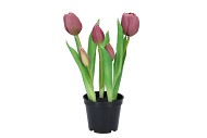 SILK TULIP IN POT 5X MAUVE 26CM NM