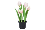 SILK TULIP IN POT 5X PINK 26CM NM