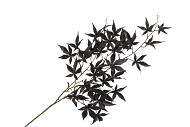 SILK MAPLE LEAVES BLACK 108CM NM