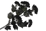 SILK DYE BLACK VIBURNUM 5X 87CM