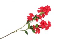 SILK BOUGAINVILLE TAK RED 106CM NM