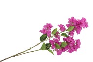 SILK BOUGAINVILLE TAK PURPLE 106CM NM