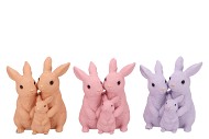 FARM PRETTY PINK RABBIT FAMILY ASS 19X13X24CM NM