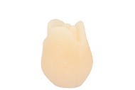 CANDLE TULIP IVORY 7X8CM NM