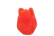 CANDLE TULIP ORANGE 7X8CM NM