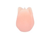 CANDLE TULIP WHITE PINK 7X8CM NM