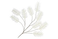 SILK PALM LEAF WHITE 150CM NM