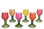 BICOLORE MULTICOLOR TULIP T-LIGHT ASS 8X15CM