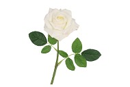 SILK OPEN ROSE WHITE REAL TOUCH 43CM