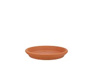 TERRACOTTA WATERDISH D15XH3CM