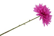 SILK DAHLIA POINTY PURPLE 65CM