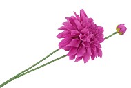 SILK DAHLIA SPIKE PURPLE 78CM