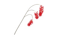 SILK WISTERIA FIERY RED 93CM NM