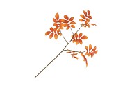 SILK LEAF ROWAN ORANGE 71CM