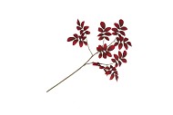 SILK LEAF ROWAN DARK RED 71CM