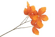 SILK LEAF CHESTNUT ORANGE 79CM