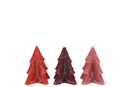 FROSTY RED MIX PINE TREE CANDLE 6X8CM ASS