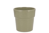 CERAMIC KIWI STONE POT ORCHID EDGE 13CM