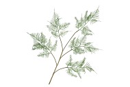 SILK FERN ASPARAGUS DARK GREEN 107CM