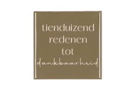 TILE TIENDUIZEND BROWN 10X10X1CM