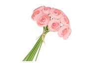 SILK RANUNCULUS BOUQUET 10X PEACH 32CM