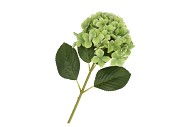 SILK HYDRANGEA GREEN 23X64CM