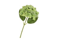 SILK HYDRANGEA GREEN 14X45CM