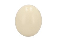 EGG OSTRICH RESIN P/1