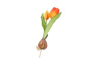 SILK TULIP BULB DARK ORANGE 25CM