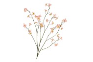 SILK BUTTERCUPS PEACH 100CM