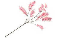 SILK SALIX LEAF PINK/CHAMPAGNE 135CM