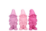 GNOME DUTCH PINK MIX ASS 20CM