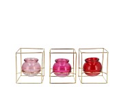 POLLY DUTCH PINK MIX METAL RACK SQUARE GLASS ASS 11X11X13CM