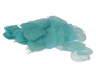 SKELETON LEAVES AQUA SET OF 200