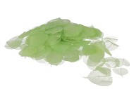 SKELETON LEAVES LIME SET OF 200