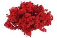 MOSS ICELAND RED A 500 GRAM